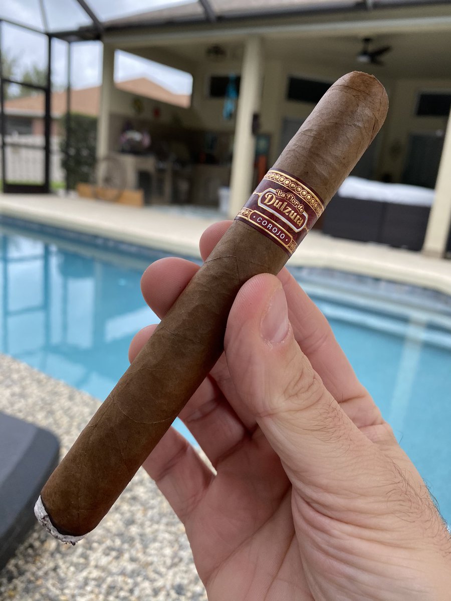 AlexZ625 tweet media