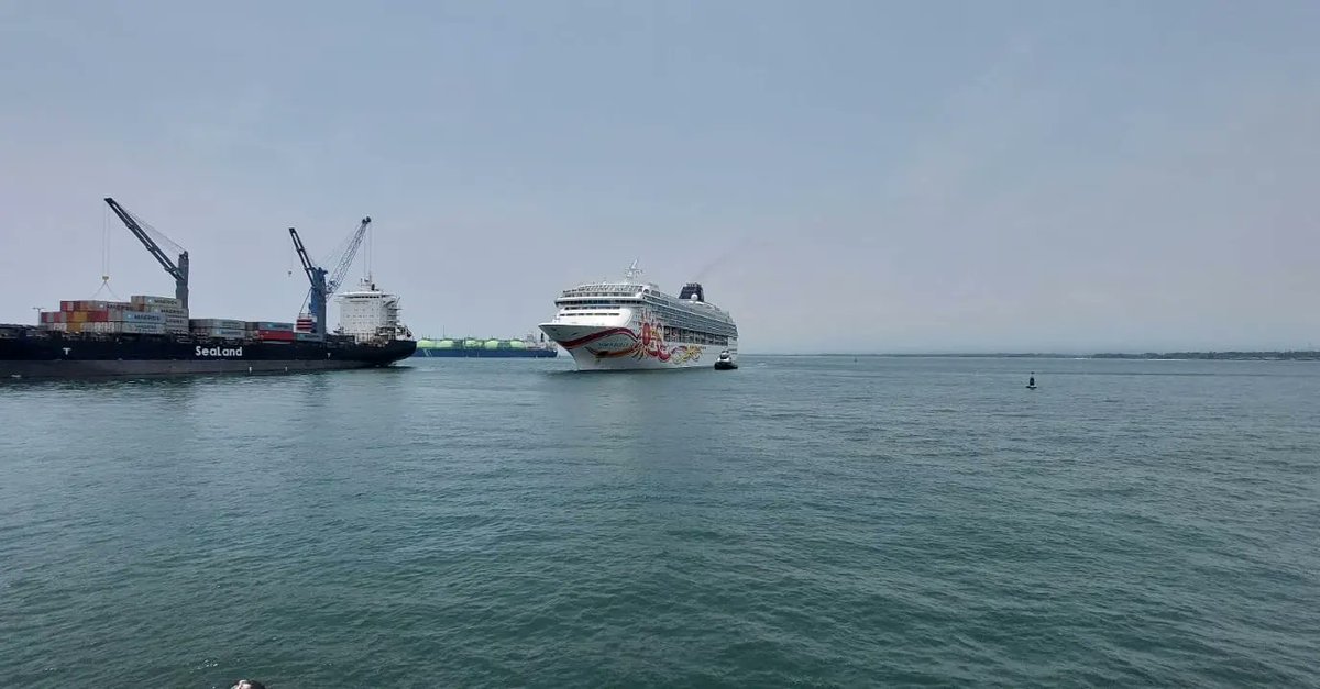 AMP El Salvador tweet media