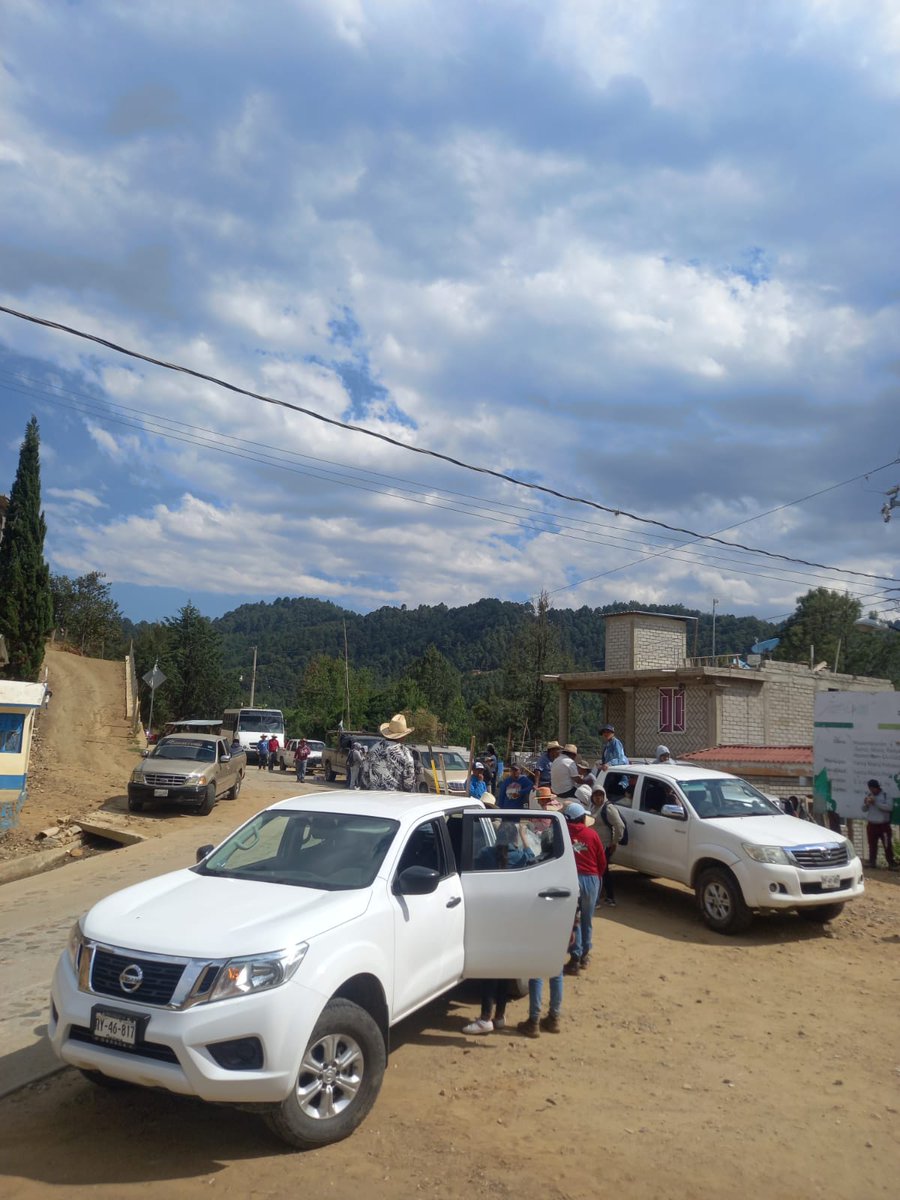 nelson emir cardozol tweet media