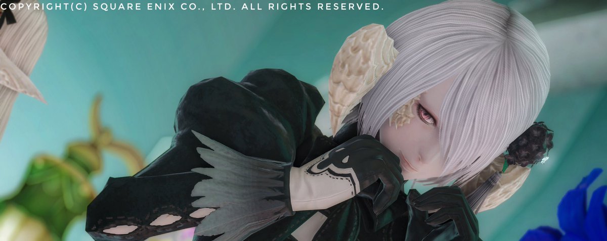 yuuki_wm's tweet photo. 𝔾𝕠𝕠𝕕 𝕄𝕠𝕣𝕟𝕚𝕟𝕘 ☀︎*.。
#studio_LiFrame #おはウラ #FF14
#蟹角ファン倶楽部 #本日のアウラ https://t.co/jb5clARQtQ