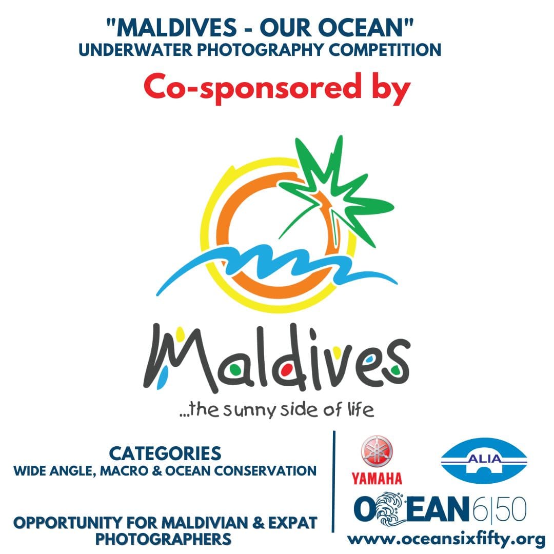 Thank you <a href="/visitmaldives/">Visit Maldives</a> for the continuous support!

#ourocean #maldives #VisitMaldives #aliaMaldives 

<a href="/ShafrazNaeem/">🇲🇻  Shaff  🇨🇭</a> <a href="/SwissD1VER/">Swiss D1VER Watch</a> <a href="/fourth_element/">fourth element</a> <a href="/simdididi/">Ibrahim Mohamed Didi</a> @CrossroadsMDV <a href="/SeaGearMaldives/">Sea Gear</a> <a href="/ilovenudis/">ilovenudis</a>