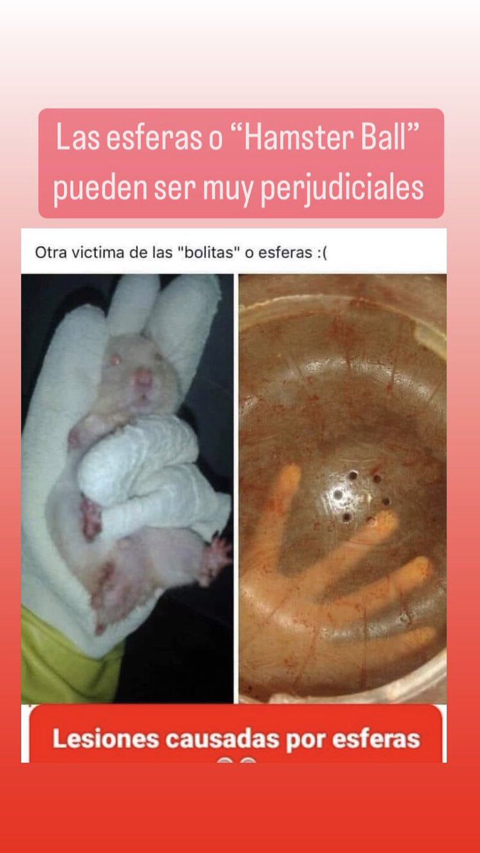 MolishaShop's tweet photo. @PetcoMexico https://t.co/tsAei9HTBw