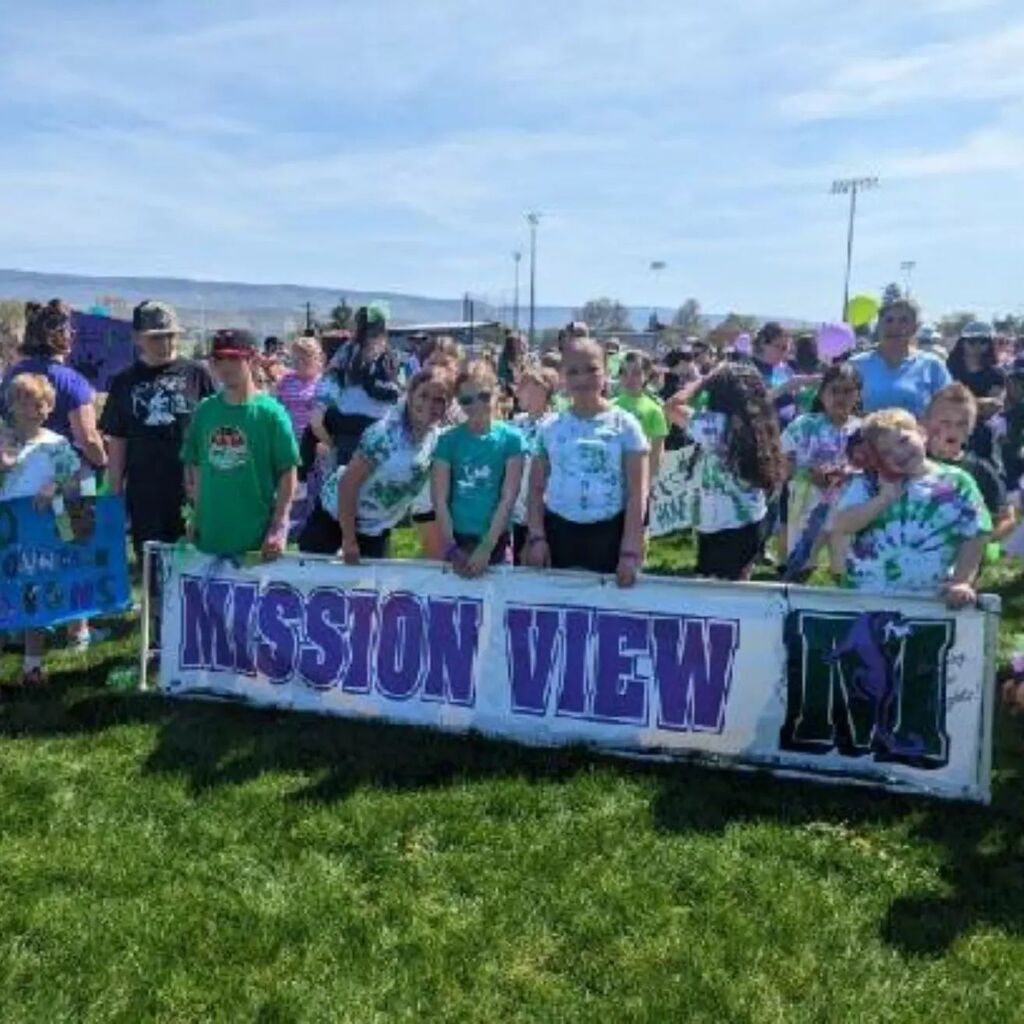 Mission View tweet media