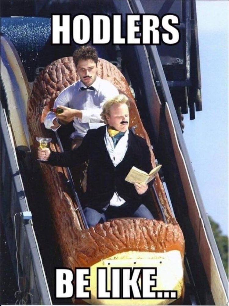 DeanBcboy's tweet photo. #HODL #meme https://t.co/pfYTFqQNfA