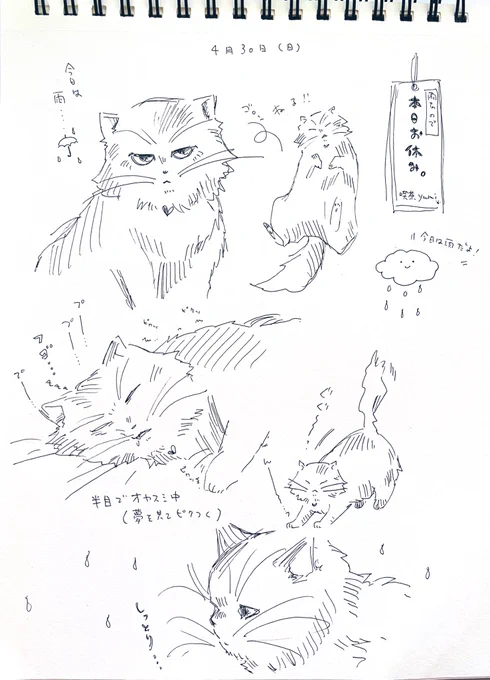 朝のラクガキ☔️