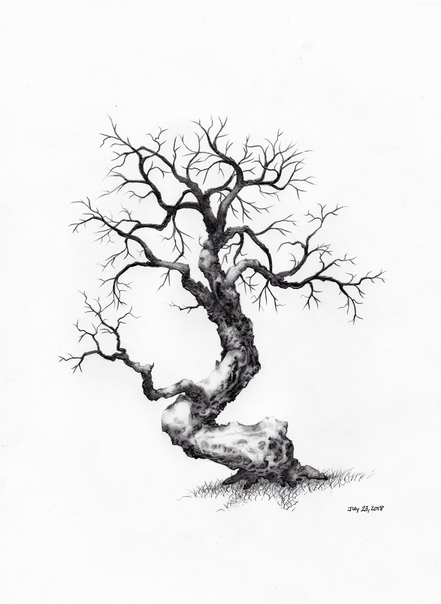 Owentree1's tweet photo. Eihwaz
#tree
#drawing
#trees https://t.co/KzCHA98pjr