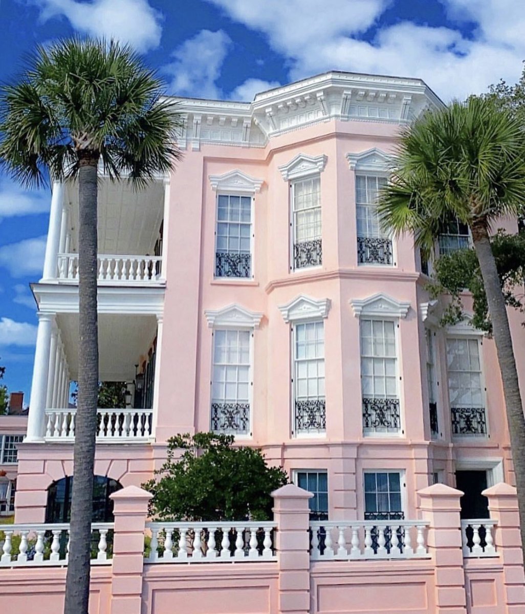 Caila Schwartz tweet media