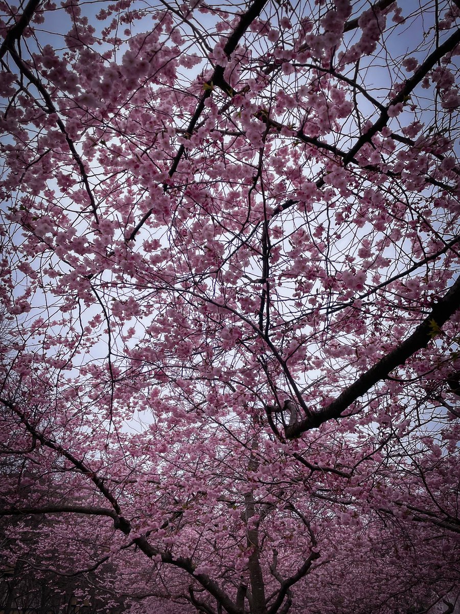 Pitkällä viikonlopulla Tukholmassa. Asiat, mitkä löysin:
- kevät
- Uber on aivan järjettömän hyvä konsepti. En kulje enää millään muulla, jos se on saatavilla.