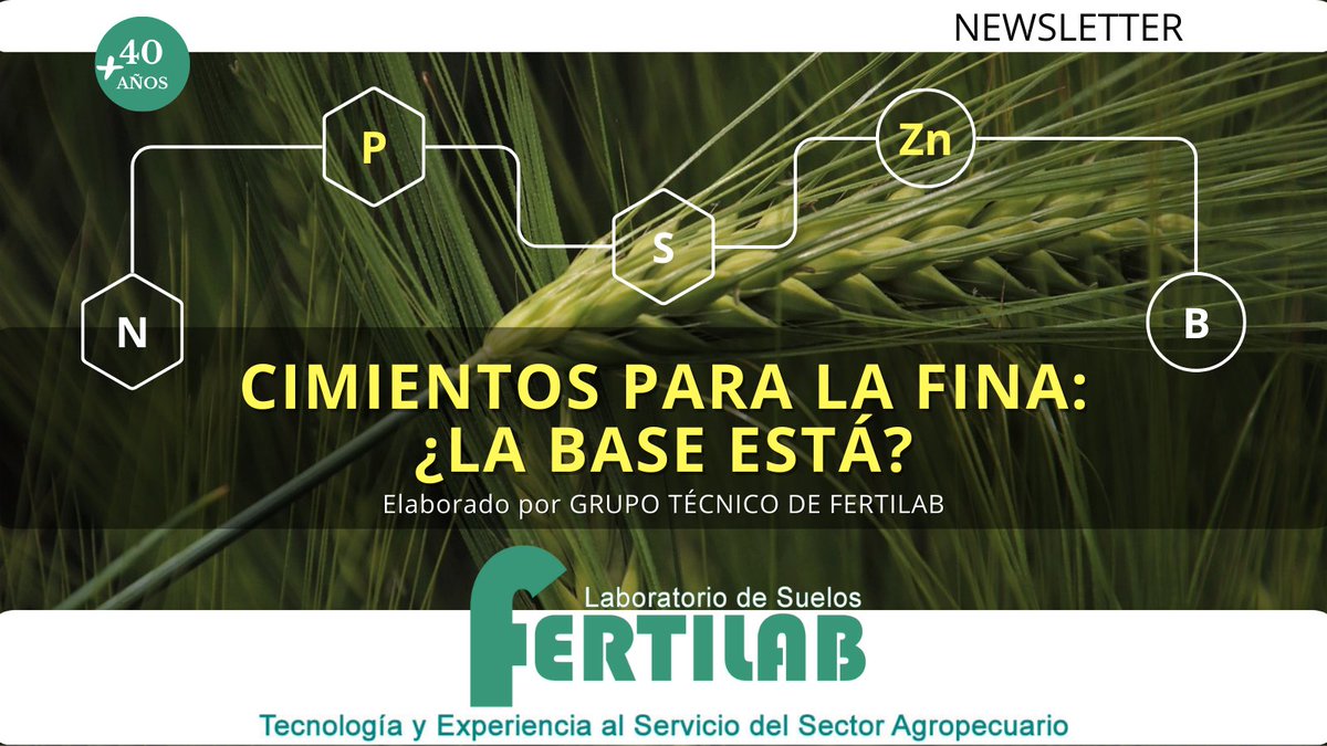 FertilabLab's tweet photo. NUEVO NEWSLETTER
CIMIENTOS PARA LA FINA: ¿LA BASE ESTÁ?
Elaborado por GRUPO TÉCNICO DE FERTILAB
https://t.co/tN081GdraG
#fertilidad #suelos #micronutrientes #macronutrientes #p #Nan #boro #nitrogeno #azufre #zinc #fosforo #analisis #diagnostico #Pbray #Zn https://t.co/sT0ZDli3Jy