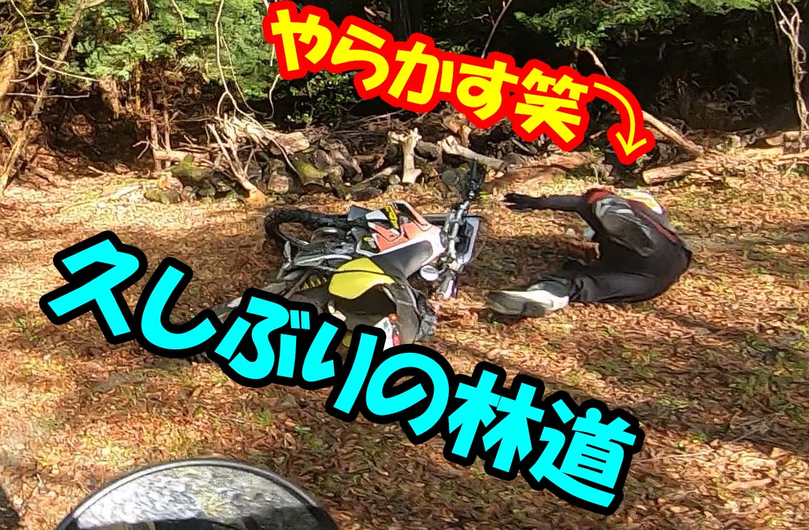 aamh0474's tweet photo. 久しぶりに��道に行って来ました

https://t.co/Ot3ncK8qR5

#林道 https://t.co/zgjAQeuIGb