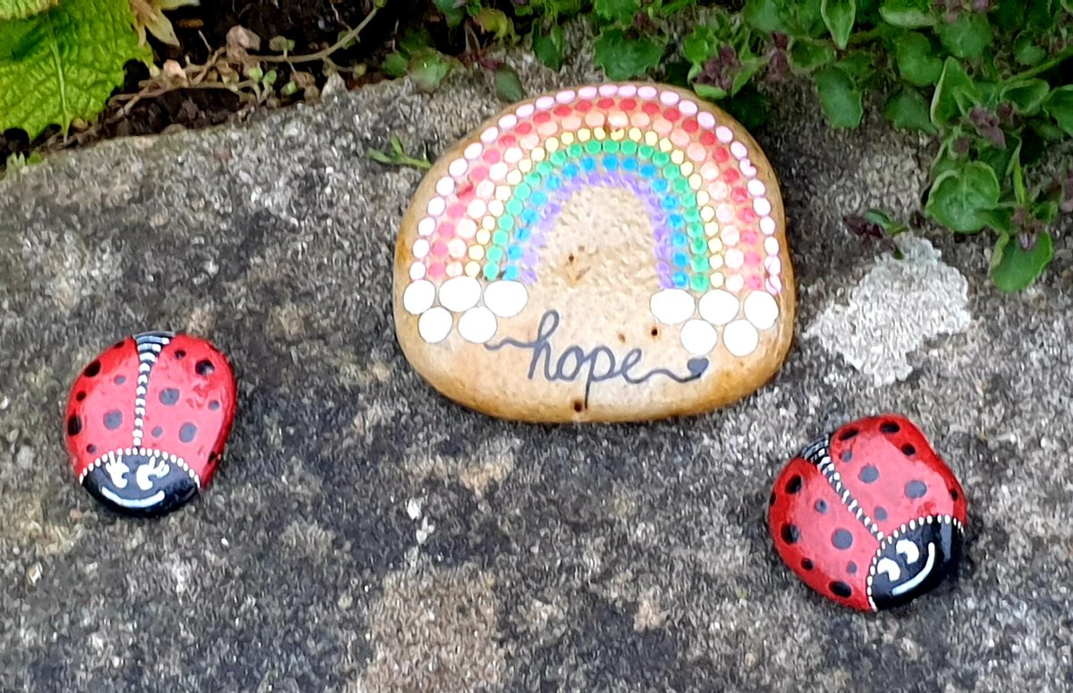 TracieTra's tweet photo. @silverpebble Came across on my stroll after dinner ...x https://t.co/XEX7xTRshF