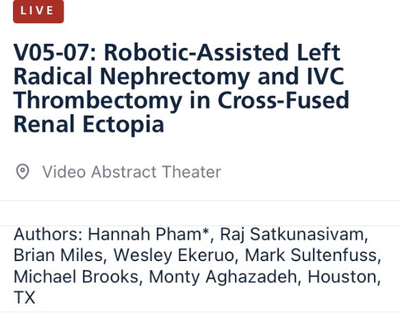 MontyAghazadeh's tweet photo. Great work by @HMethodistUro’s Hannah Pham on #AUA2023 video abstract presentation @RRGonzalezMD @rosekhavari @DrRajSat @BrianMilesMDCaP @KKseattle @TimBooneMDPhD https://t.co/45n1yYfx2t