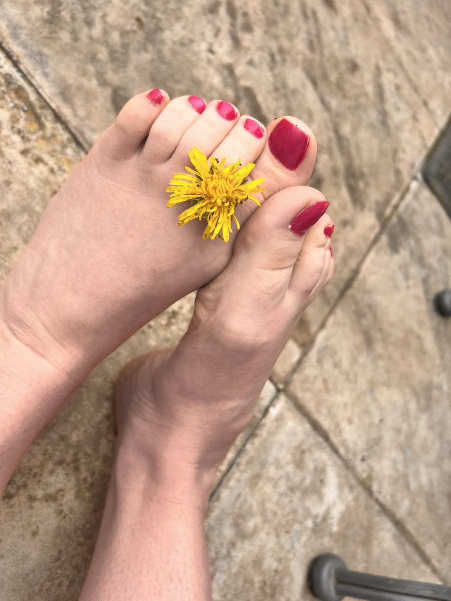 ToesTutsy9780's tweet photo. #feetpics #real #genuine https://t.co/BQeKreyLxb