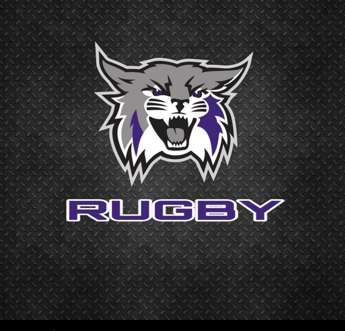 Tucson Tahri Hawika Malosi Adoloho tweet media