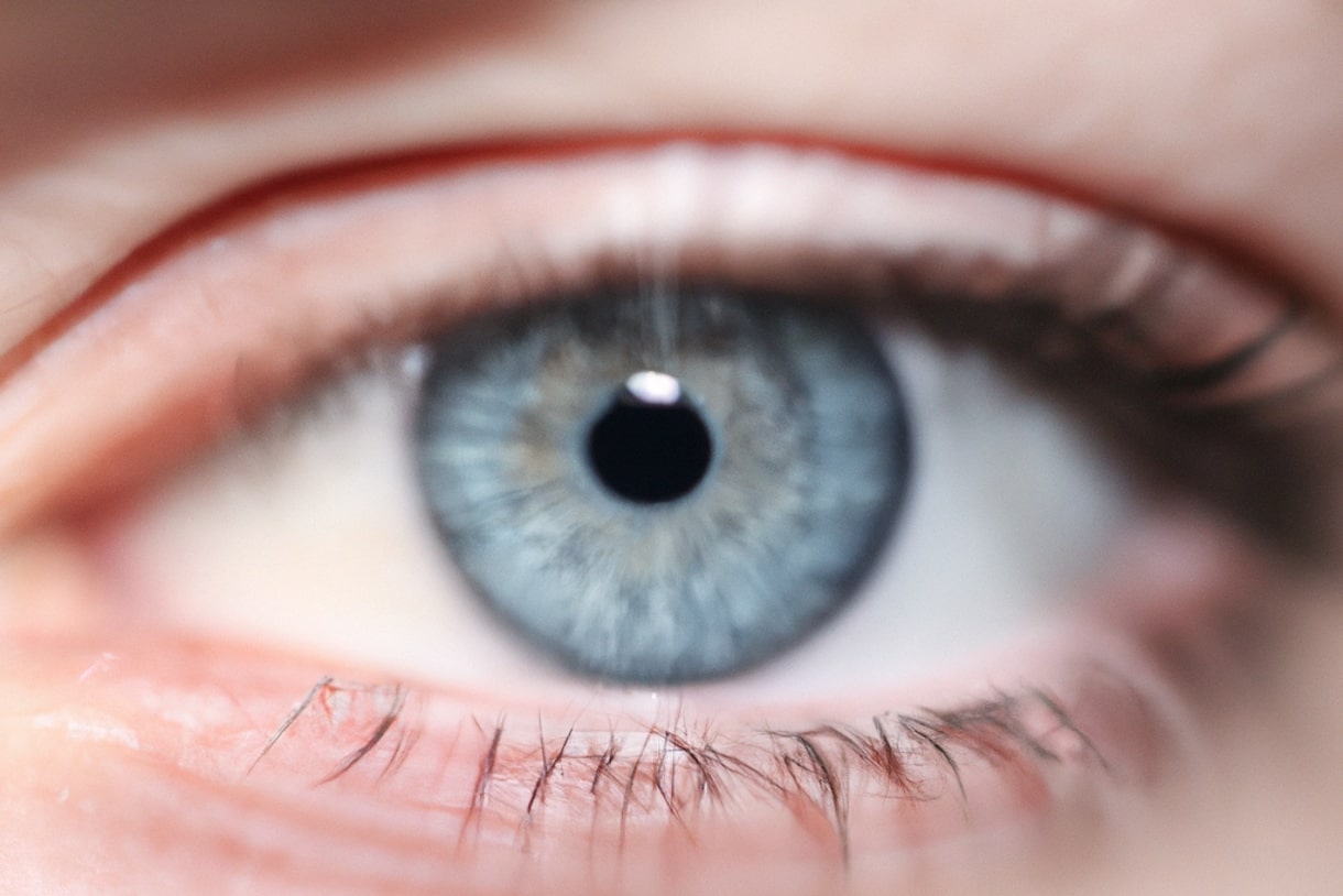 Neuroscience News on Twitter "Schizophrenia Identified in 60 Seconds