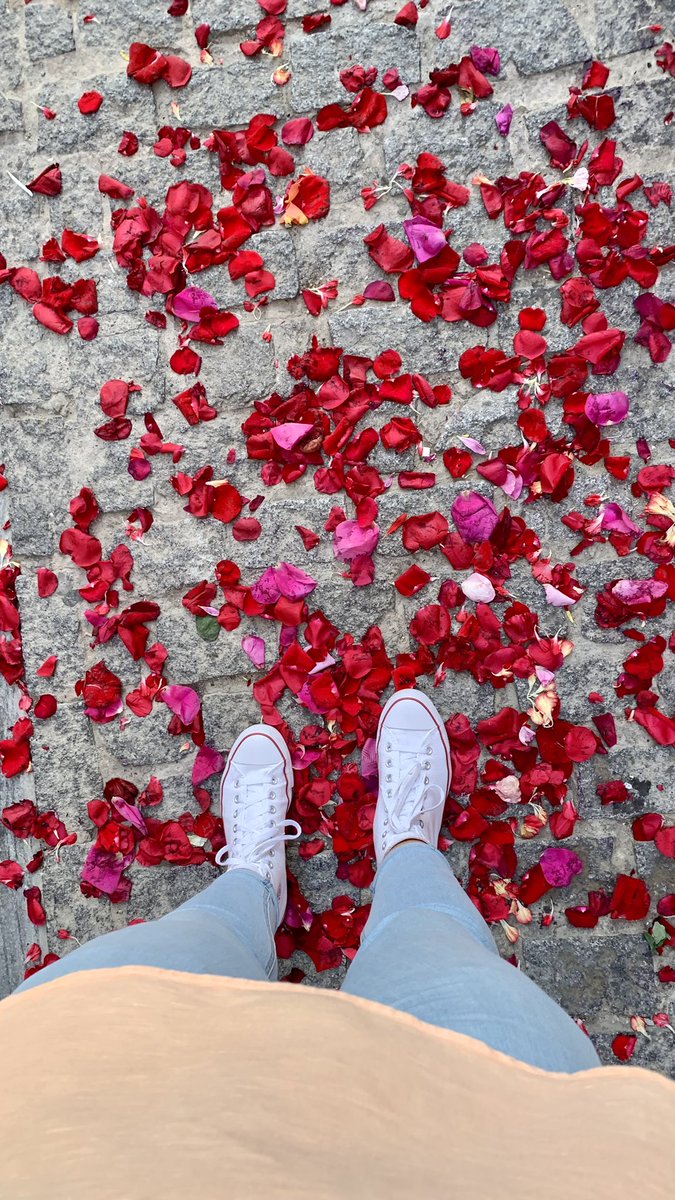 Afición: Las fotos post petalada🌹