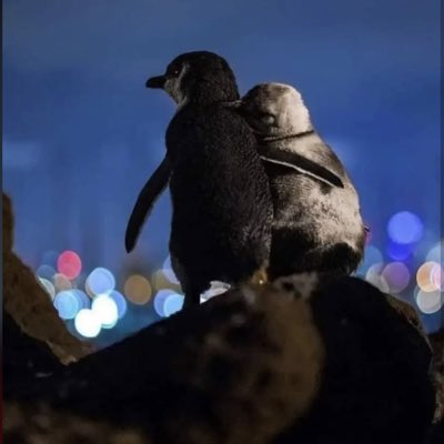 Em27106394's tweet photo. #NewProfilePic https://t.co/3iBu3Vmbo1