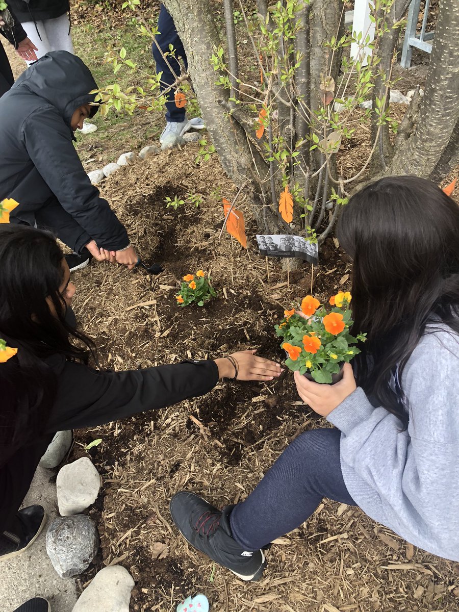 courtney tweet media