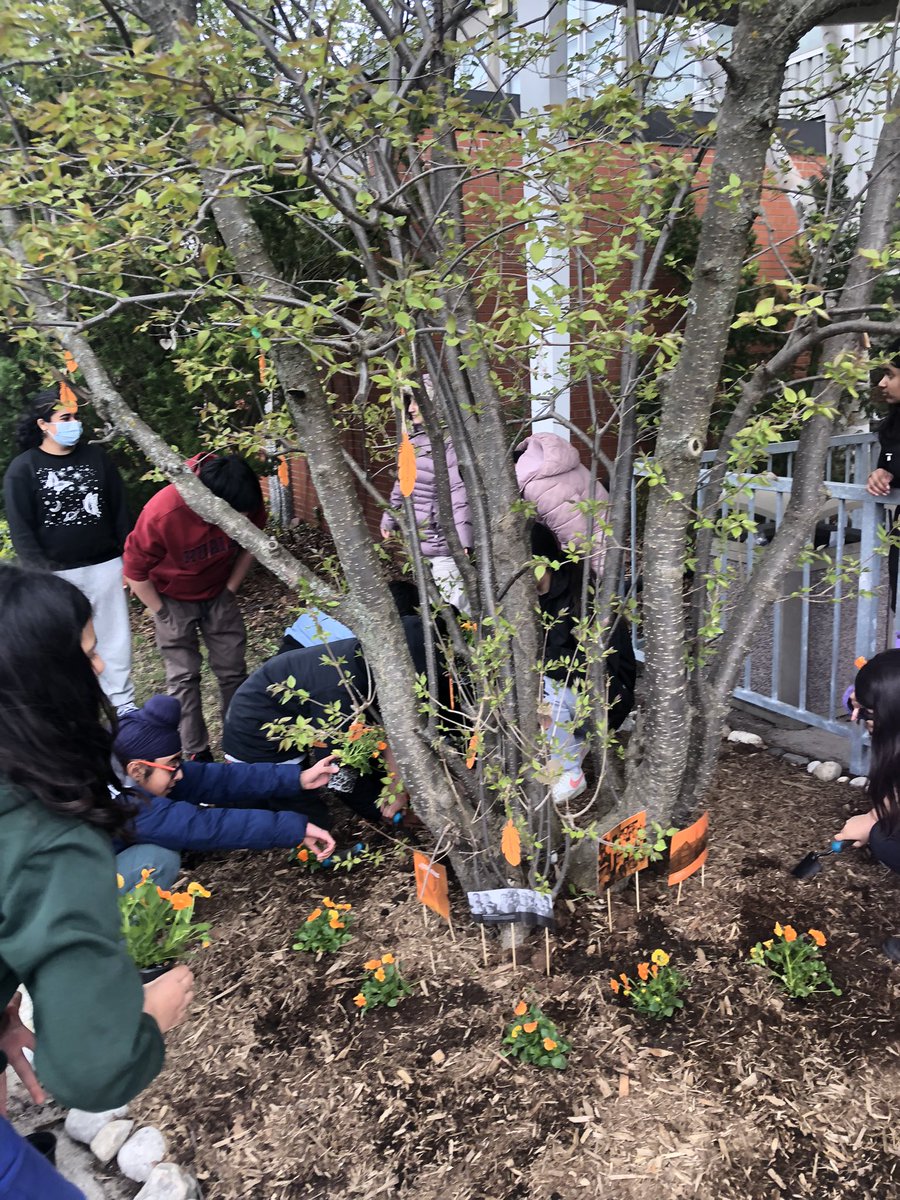 courtney tweet media