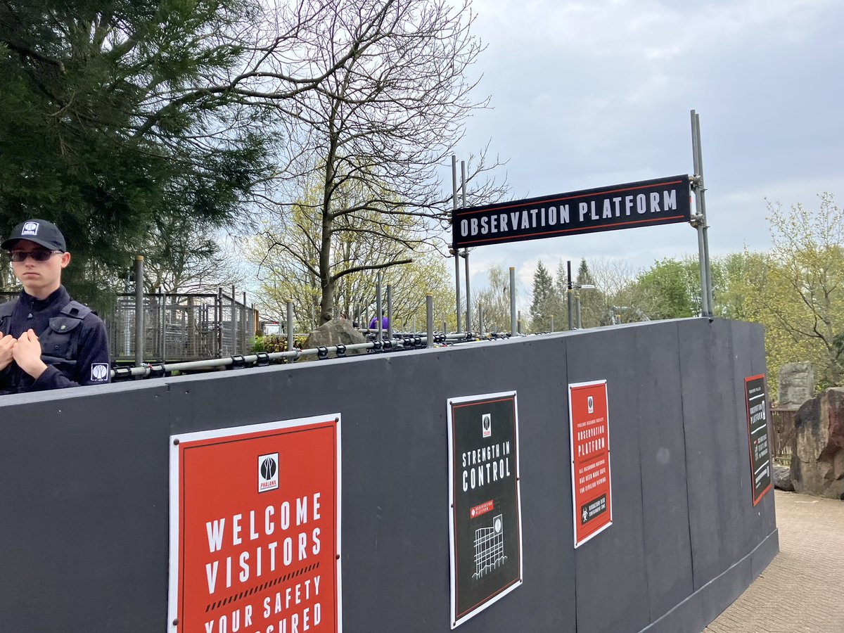 ThemeParkSquib's tweet photo. Great to see the #nemesis construction at @altontowers today 👍🎢 https://t.co/2j8HMGHaQR