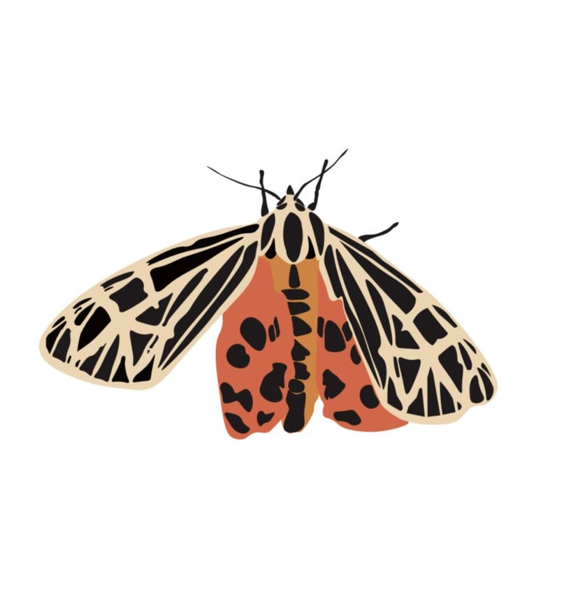 TheSaintAQ's tweet photo. "Art Spotlight: Mariah Niewoonder"
“Virgin Tiger Moth” by Mariah Niewoonder
https://t.co/L8coBS1x0w https://t.co/w9bPy5kFp0