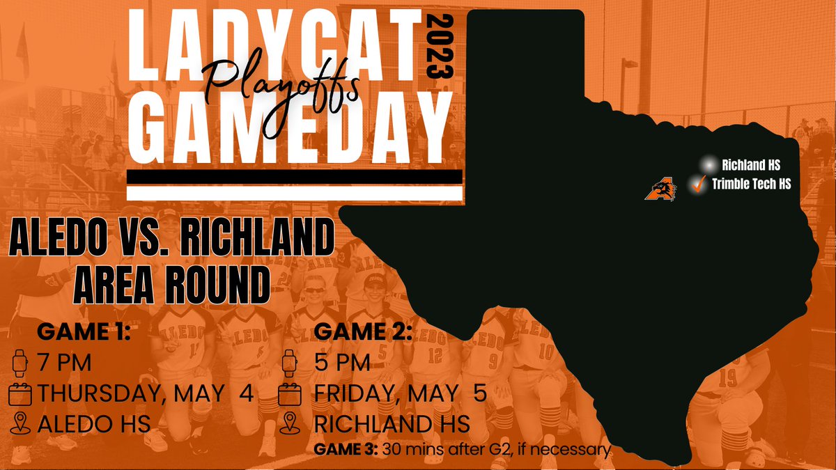 Ladycat Softball tweet media