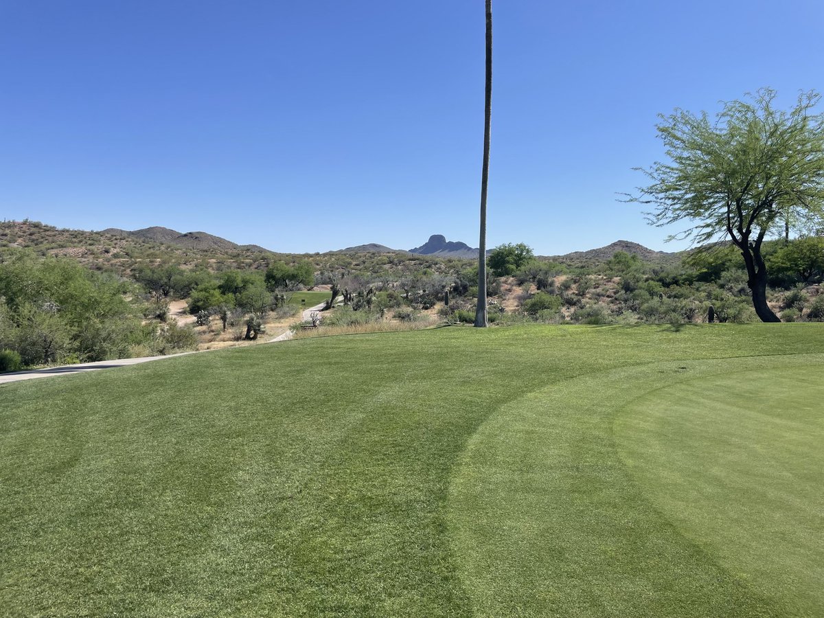 saltyco's tweet photo. Los Caballeros CC #sweetTrack https://t.co/B5sKBvn2R6