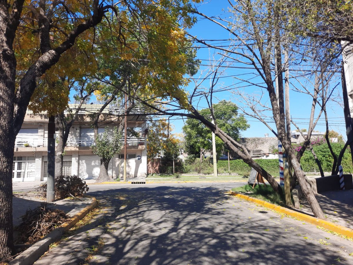 eloyseo's tweet photo. Árbol a punto de caerse en Humberto primo y benzuley, ha avisamos a la muni hace una semana y nada. Esperan que se le caiga encima a una persona o vehículo. @leodelga2 @TransitoRos @TransitoRosOk @emergenciasAR https://t.co/8PyMuUVkbh