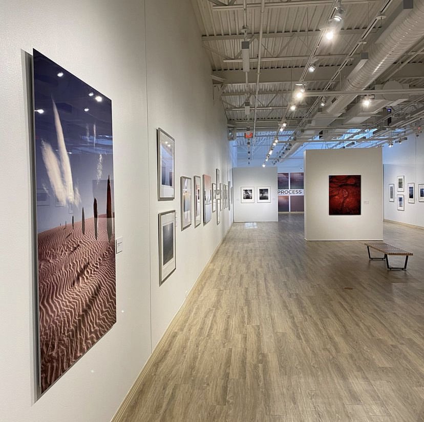 SordoniGallery's tweet photo. A few more weeks left to see Landscapes Within Landscapes | Process at #sordoniartgallery We’re currently open by appt. only so email @melissa.caresita@wilkes.edu to schedule! Sat. May 13th is our Second Saturday Family hour: Plants, Pollinators, &amp; Pennsylvania- Oh My!
#wilkesu https://t.co/v5EeNgKqzL