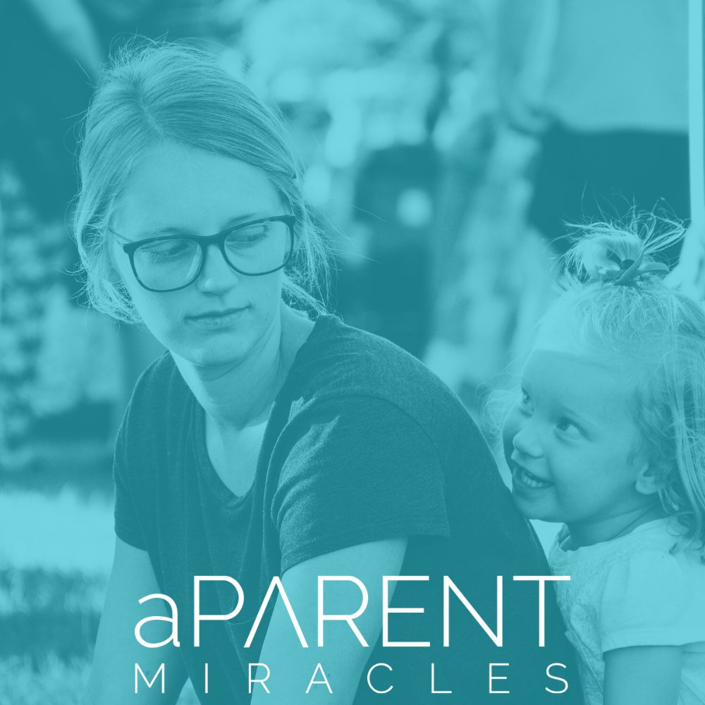 aparentmiracles's tweet photo. The aParent Miracles Foundation helps single working custodial parents achieve their aspirations as a family... one miracle at a time. 

 https://t.co/Dugp1abytL

#BeThatMiracle https://t.co/yv2e5laBmK
