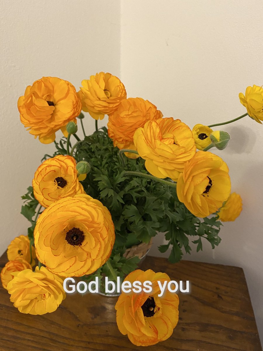 _vickymanalo's tweet image. Amen

Photo by owner

#godblessus #receivethegraces #il
instagram.com/p/CrowgLehZIY/…