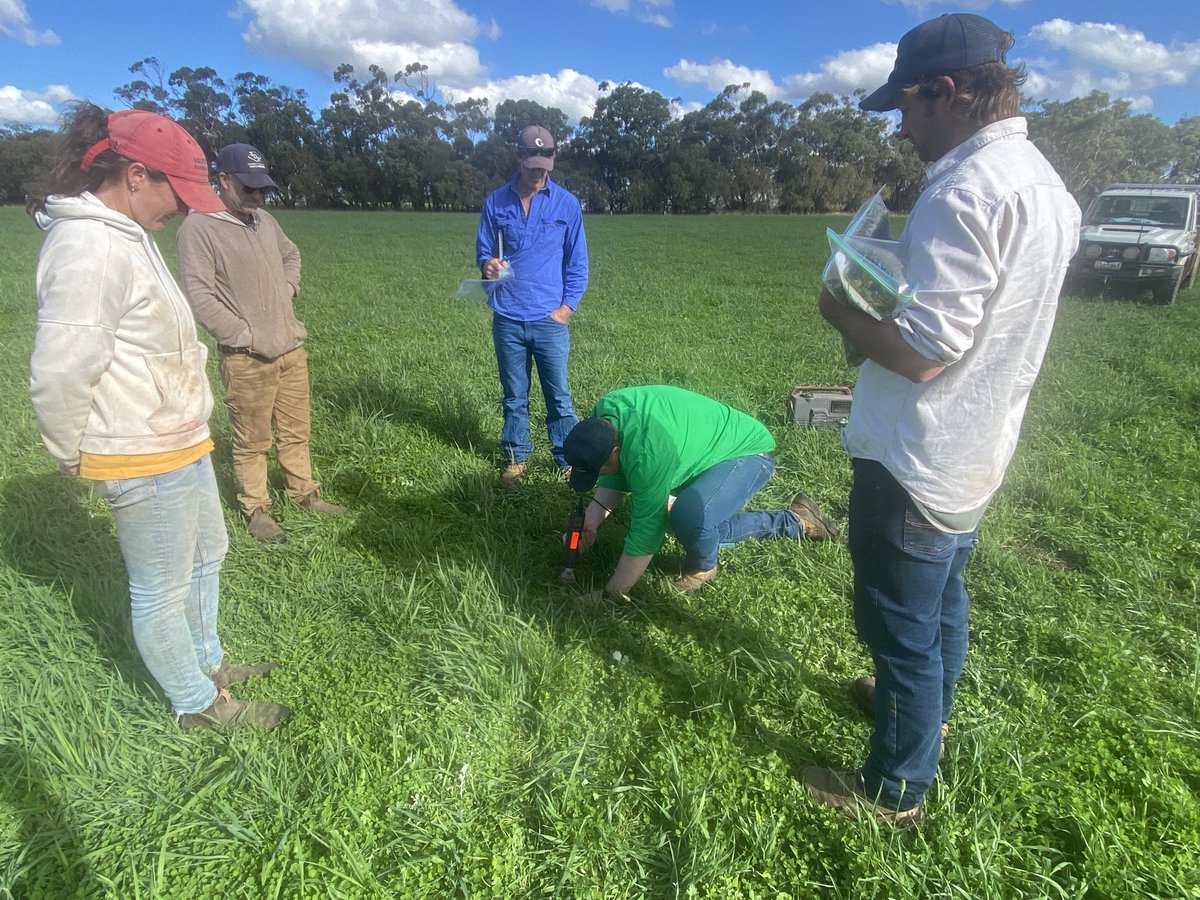 Tim Leeming tweet media