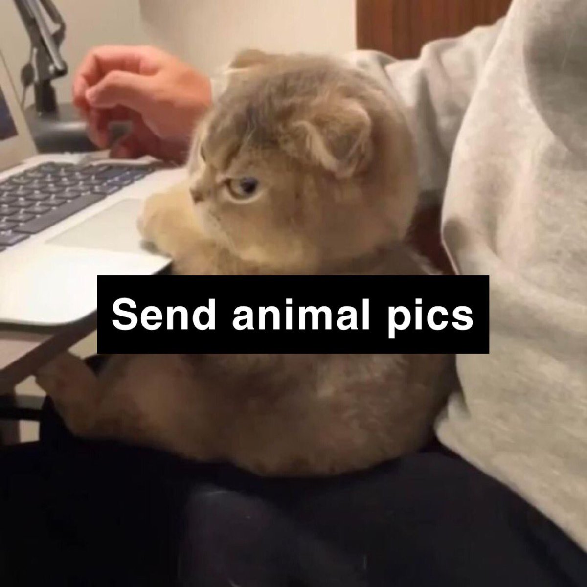 non aesthetic things tweet media