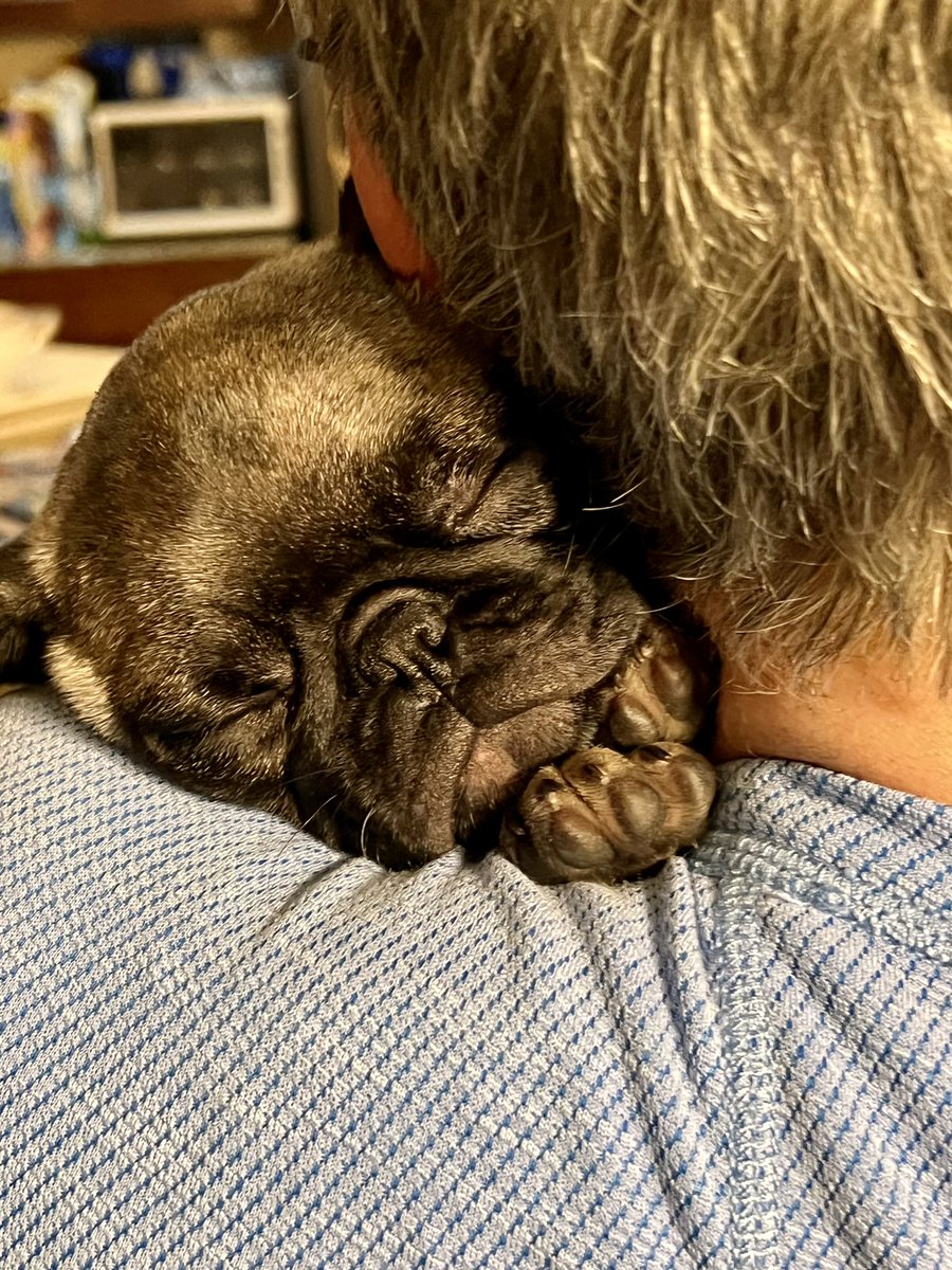 James A York MD tweet media