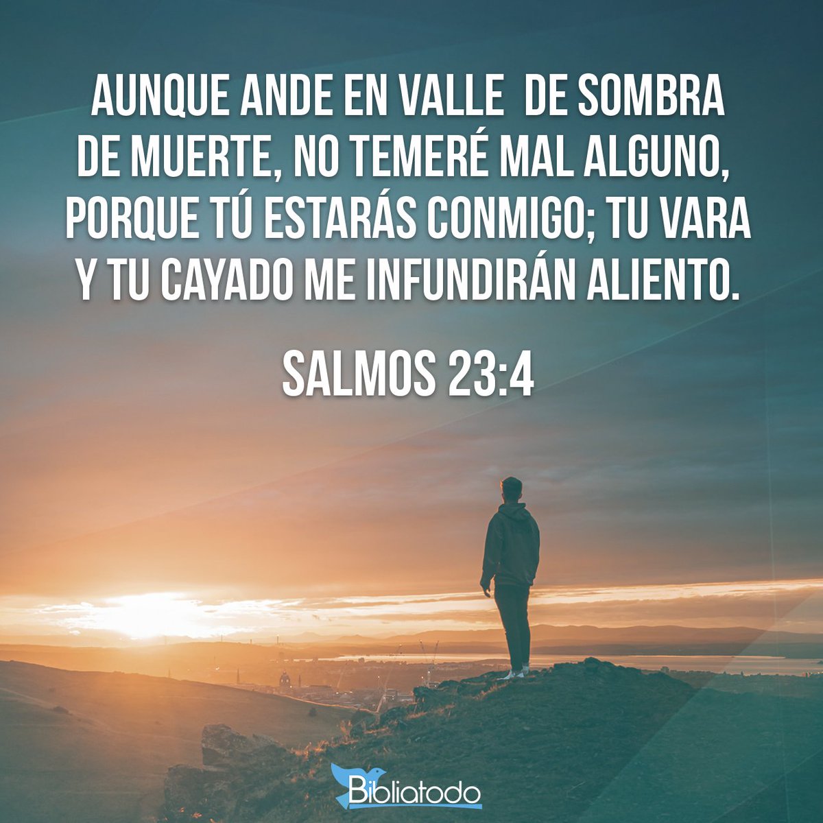 roxfiore's tweet photo. No importa donde te encuentres, ni en que situación estés,  Dios esta contigo. https://t.co/74l7KBzNL7