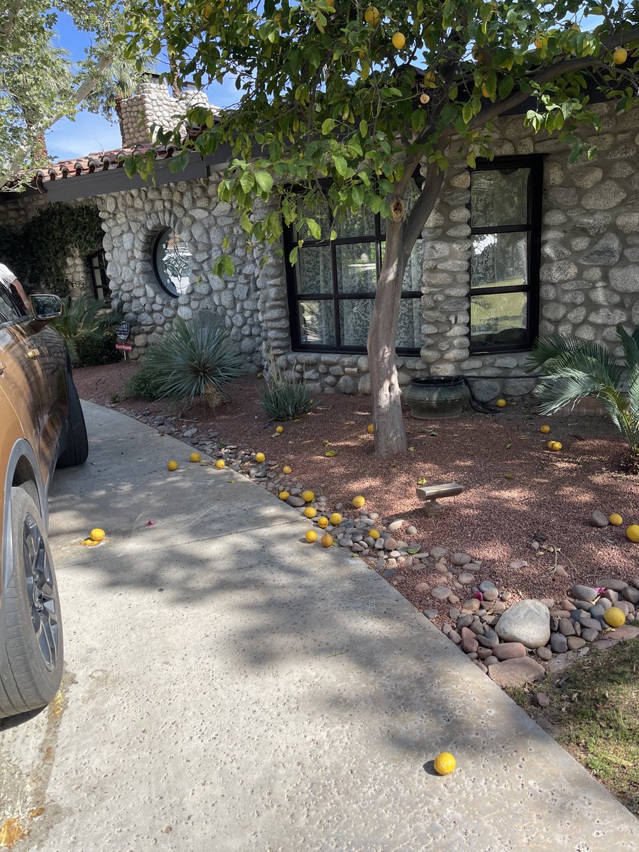 OlsonKraig's tweet photo. When life gives you lemons, go to ⁦@Stagecoach⁩ https://t.co/hMqBh7THhH