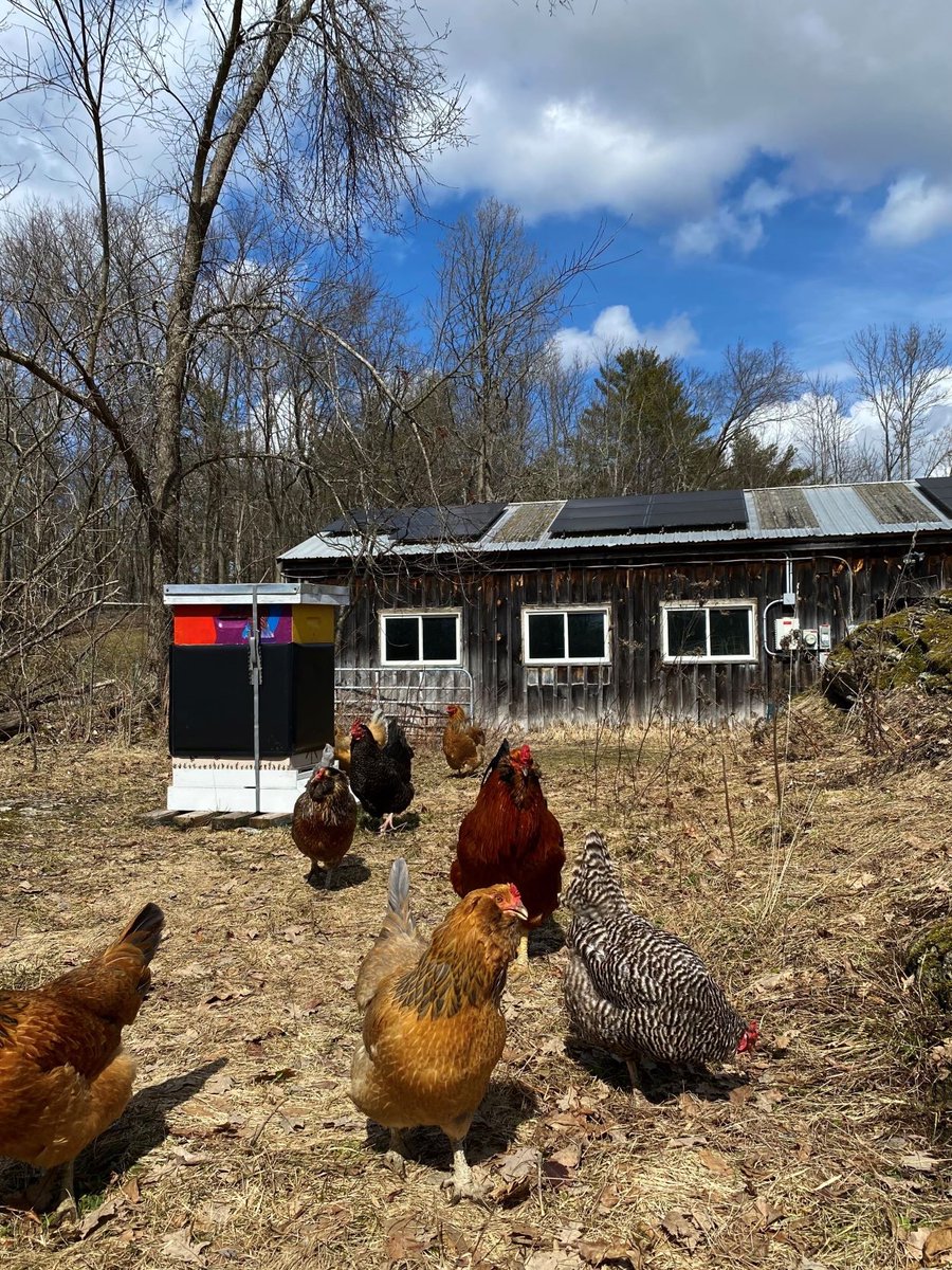 MercyEcology's tweet photo. Spring is here in VT! https://t.co/jp4klUZZGv