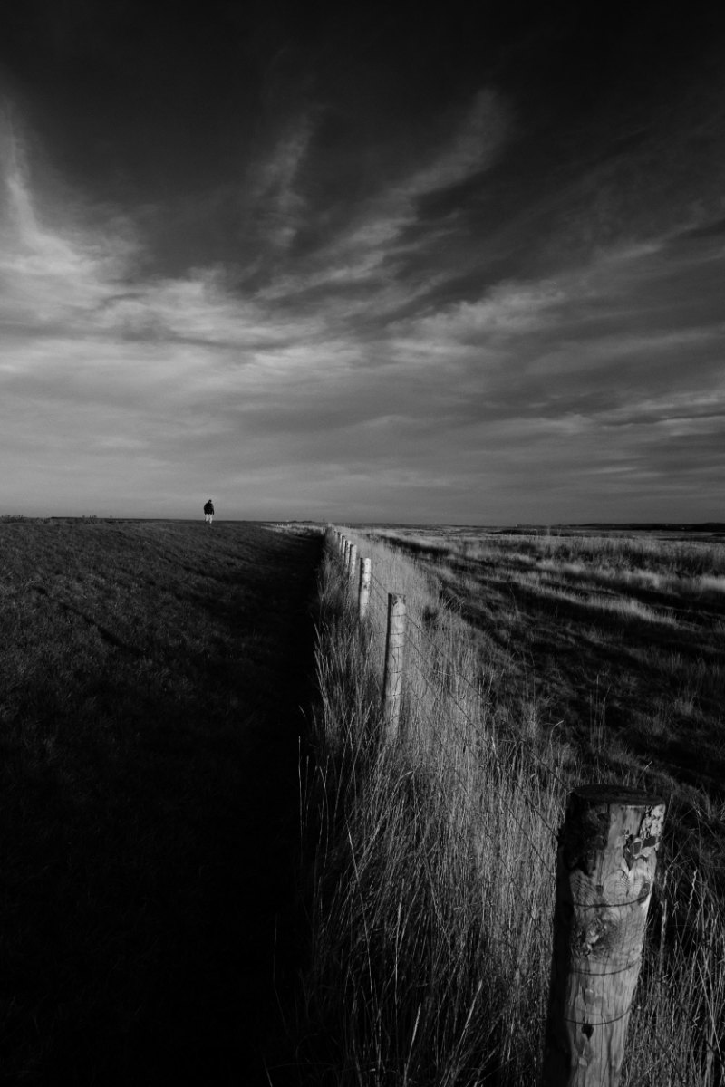 MyriadPhoto's tweet photo. The path to Cley. A new mono series. 

#Cleynextthesea #loveNorfolk https://t.co/j1qVxnBfBO