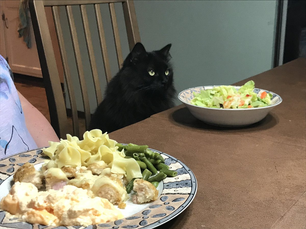 DontShowYourCat's tweet photo. they got his order wrong https://t.co/MSXYKK1r1F