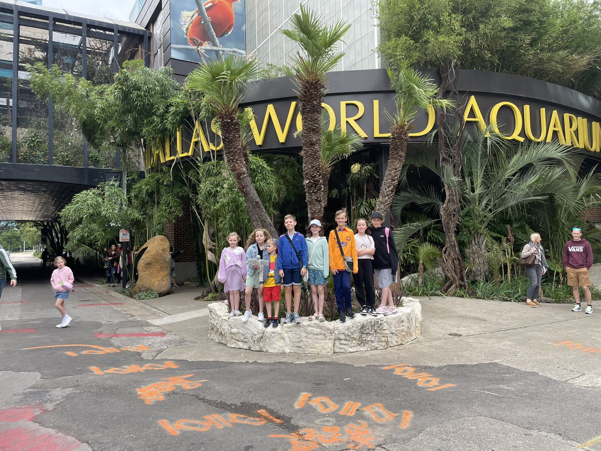 BQPrimary's tweet photo. Wow our Angel has had a very busy day. First stop the Dallas Aquarium and then a quick stop at the local fire station #AngelViews25 #AngelAdventures https://t.co/Gjtmqa2RD8
