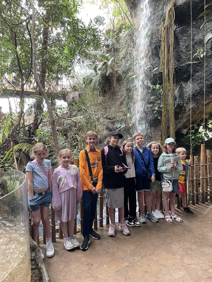 BQPrimary's tweet photo. Wow our Angel has had a very busy day. First stop the Dallas Aquarium and then a quick stop at the local fire station #AngelViews25 #AngelAdventures https://t.co/Gjtmqa2RD8