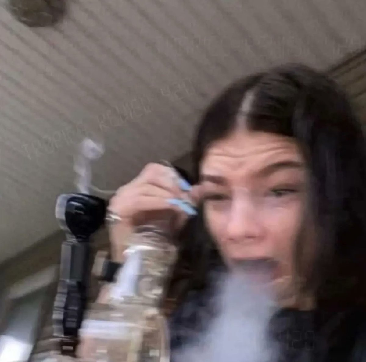 GeniusPothead's tweet photo. Them: "Stoner chicks are so cute!"

Stoner chicks: https://t.co/azwPCYie9S