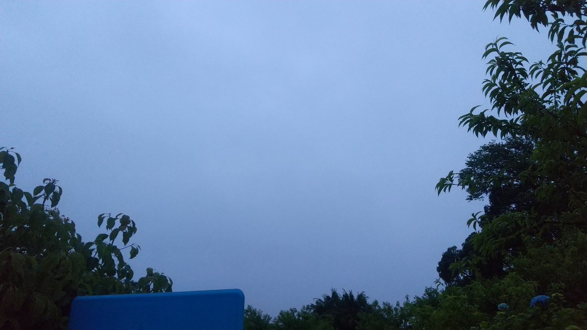 driversservice0's tweet photo. おはようございます。

4/30川崎4:50の空。
雨☔️
風も吹いています。

日曜日。
GWも当社は営業します。
ドライバーさん達頑張っています。

今日が皆様にとって素晴らしい一日となりますように。

#企業公式が毎朝地元の天気を言い合う 
#企業公式相互フォロー
#ドライバー求人
#イマソラ https://t.co/27lsajBzqk