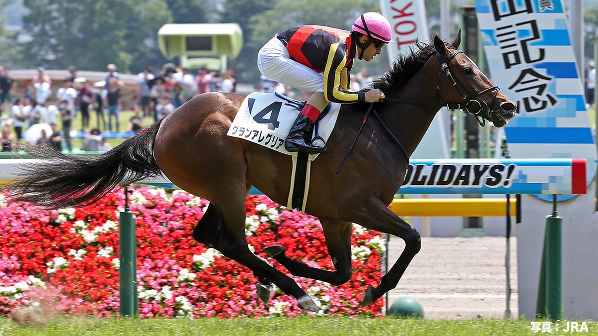 メイクデビュー列伝🔥 今週からJRAの2歳新馬戦がスタート✨ 2018年6月