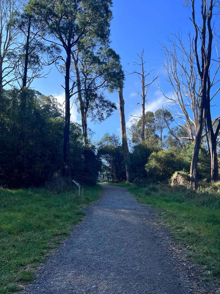 ELKAPOREAL's tweet image. Walking is good for health and get good results.
#Forhealth #GoodResults