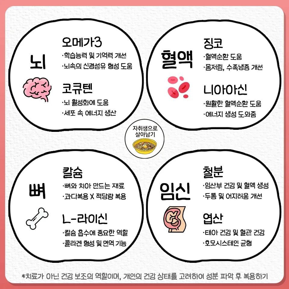 (펌) 부위별 영양제 정리