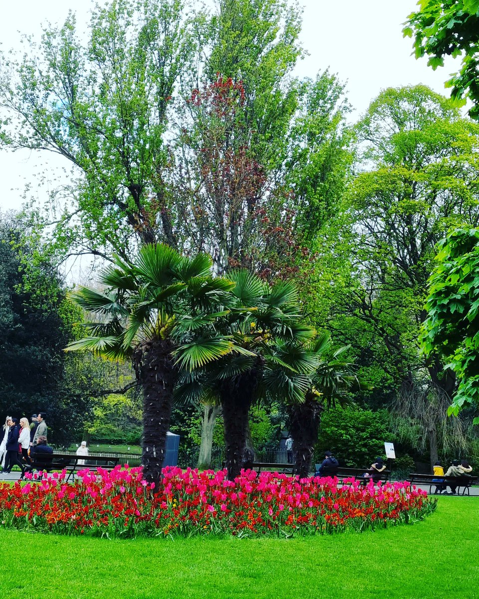 Mohsin_doc's tweet photo. Colours of Spring Beautiful #Ireland https://t.co/3q5MM458Y8