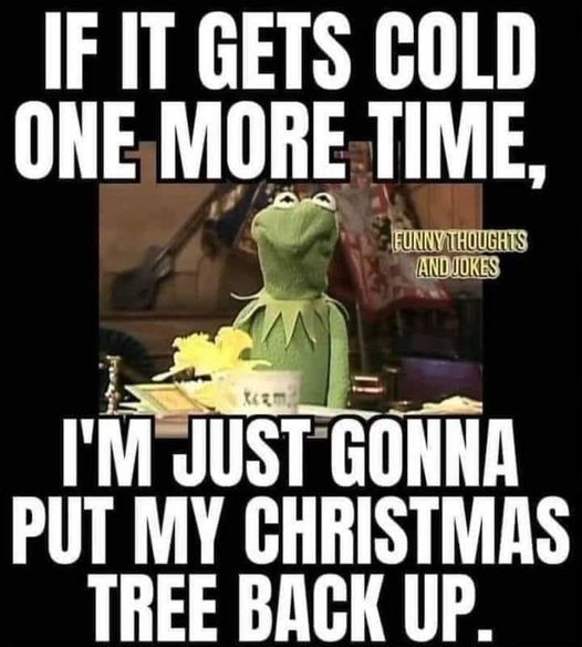 SubRosaMagick's tweet photo. #thirdwinter... https://t.co/JbsGBIGadW