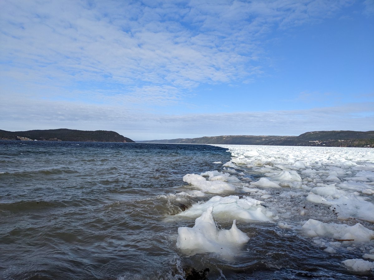 Shawn_Walters's tweet photo. 2/2... Nice day for a 11.7 km walk\hike near Petley and Britannia, Random Island, NL today. #RandomIsland #NLwx https://t.co/jMhT2If8Zo