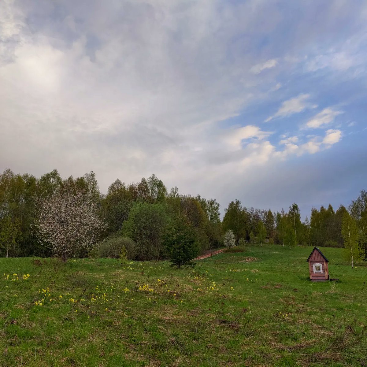 oskarsvizbulis's tweet image. Pirms Imanta. #ziedonis #pavasaris #latgale #sarkaņkalns